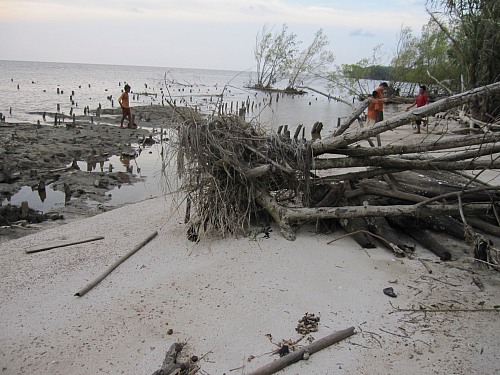 Kuala Karang, West-Kalimantan
Massive erosion problems in Kuala Karang West-Kalimantan. Remnants of stilt houses are still visible.<br />
Coastline - Beach, Settlement (City/Village), Erosion
